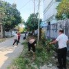Gerakan Indonesia Asri ~!